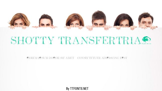 Shotty TransferTrial example